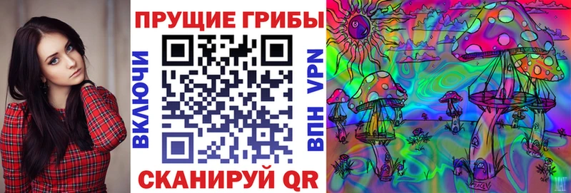 Купить закладки  Прохладный  Галлюциногенные грибы Magic Shrooms 